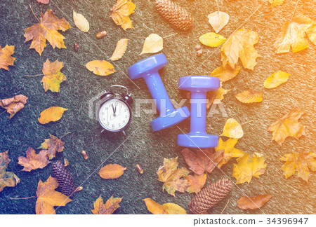 Blue dumbbells and autumn leaves with alarm clock Blue dumbbells and autumn leaves with alarm clock 34396947