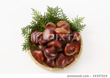 Chestnut  34397024