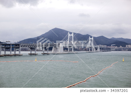 Gwangan Bridge，Swimman，Namgu，Busan 34397201