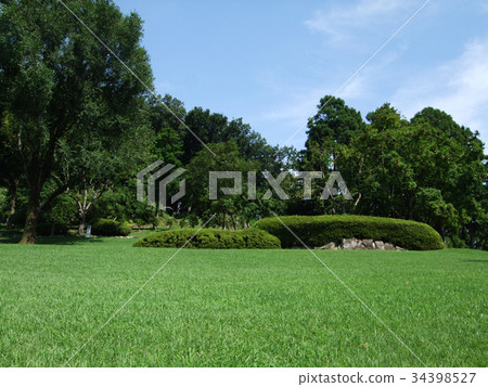Atsugi City Nanasawa Forest Park Sightseeing image Atsugi City Nanasawa Forest Park Sightseeing image 34398527