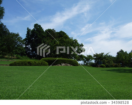 厚木市Nanasawa森林公園觀光圖像 厚木市Nanasawa森林公園觀光圖像 34398528