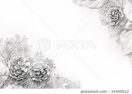 Silvery leaves and silvery pinecone 34400022