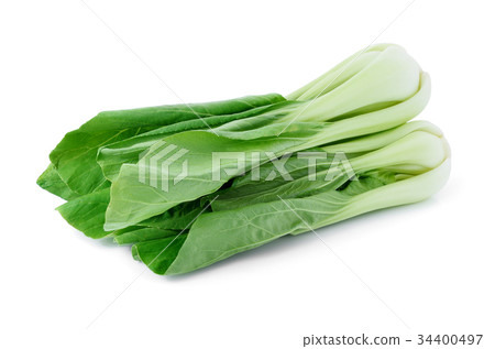 Bok choy vegetable isolated on white background. 34400497