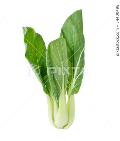 Bok choy (chinese cabbage) isolated on white 34400498