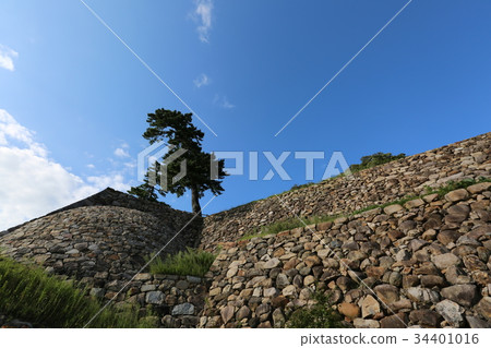 Tottori Castle Tottori Castle 34401016