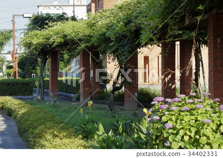 Arakawa Green Space Arakawa Green Space 34402331