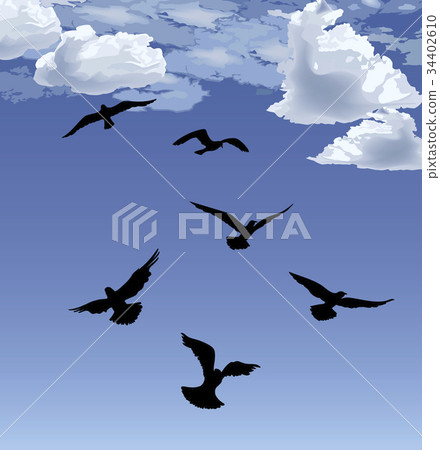 Flock bird flying Sky background Animal wildlife 34402610