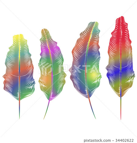 Set of Different Colorful Feathers Set of Different Colorful Feathers 34402622