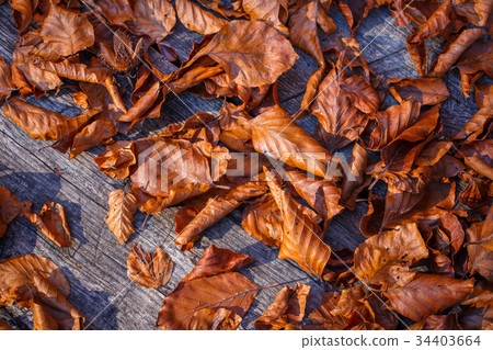 Background made of fallen autumn leaves 34403664