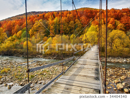 Suspension bridge in the forest 34404340