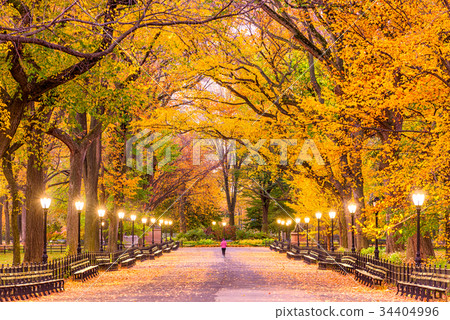 Central Park Autumn Central Park Autumn 34404996