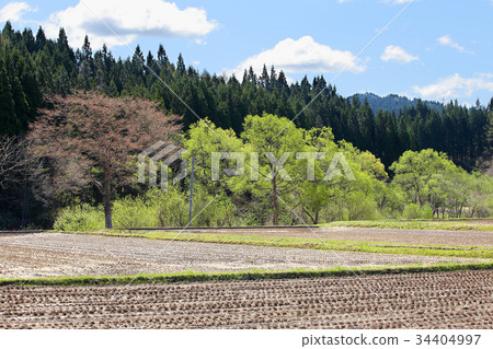 Early spring in the countryside 34404997