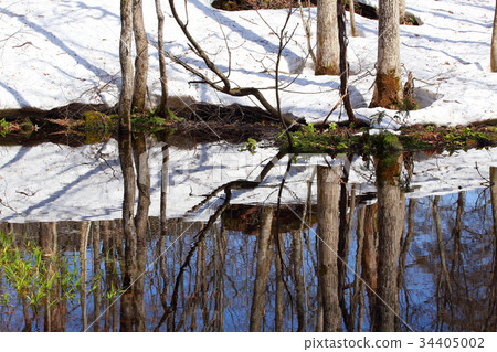 Swamp of early spring 34405002