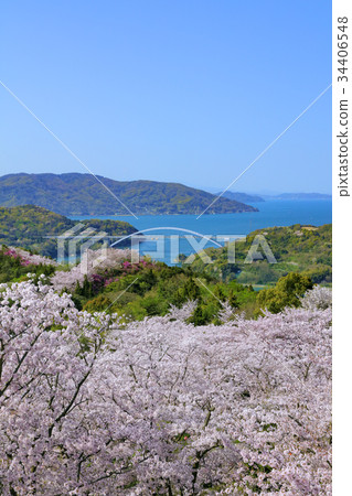 打開山地公園 打開山地公園 34406548