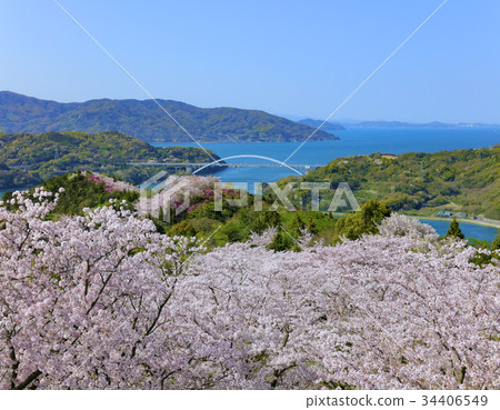打開山地公園 打開山地公園 34406549