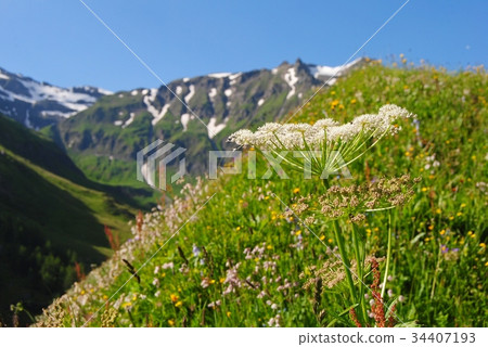 Hohe Tauern national park in Austria. Hohe Tauern national park in Austria. 34407193
