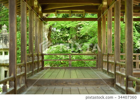 走廊和藍色秋葉 34407360