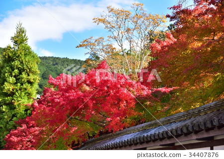 瓦礫,山脈和秋天的落葉 瓦礫,山脈和秋天的落葉 34407876