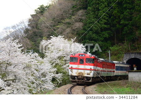 Sakika Station附近的火車和火車 Sakika Station附近的火車和火車 34411284