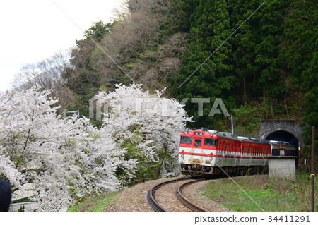 Sakika Station附近的火車和火車 Sakika Station附近的火車和火車 34411291