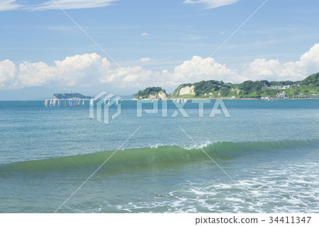 Timber Coast 34411347