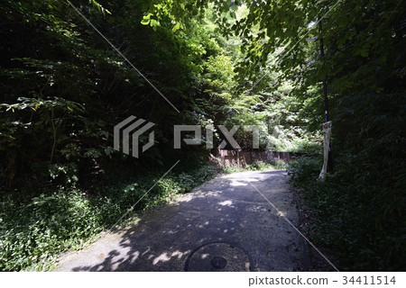 Kamakura cut through Kamegasaka 34411514