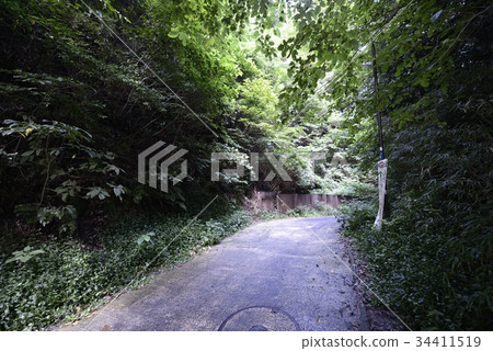 Kamakura cut through Kamegasaka 34411519