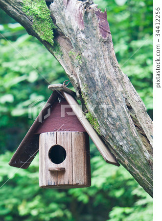 Bird House on a tree 34412256
