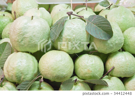 Fresh guavas with green leaf Fresh guavas with green leaf 34412448