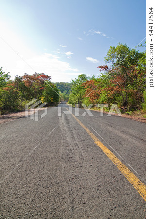 Road and Collorful of Tree in Countryside Thailand Road and Collorful of Tree in Countryside Thailand 34412564