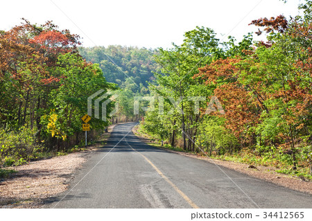 Road and Collorful of Tree in Countryside Thailand Road and Collorful of Tree in Countryside Thailand 34412565