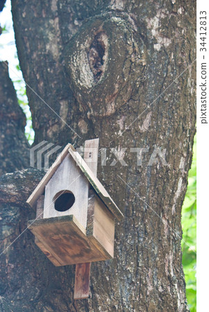 Bird House on a tree 34412813