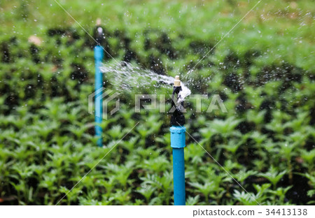 Water sprinkler running to watering plants Water sprinkler running to watering plants 34413138