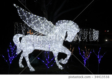 Illumination of Seta Karahashi Park 34413538