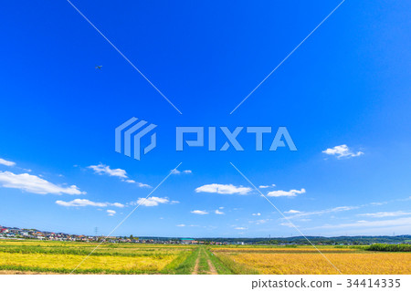 Ichihara市Kofudai附近的風景 34414335