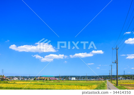 Ichihara市Kofudai附近的風景 34414350