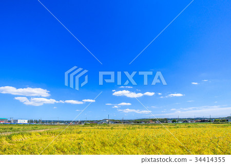 Ichihara市Kofudai附近的風景 34414355