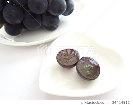 巨峰沒有物種 34414511