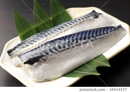 mackerel 34414557