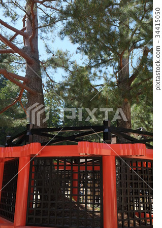 Mitaka no Matsu 2016 2 34415050