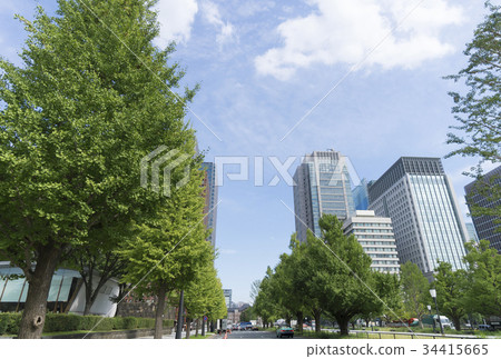 東京風景從東京站通往皇宮的一排綠樹 東京風景從東京站通往皇宮的一排綠樹 34415665