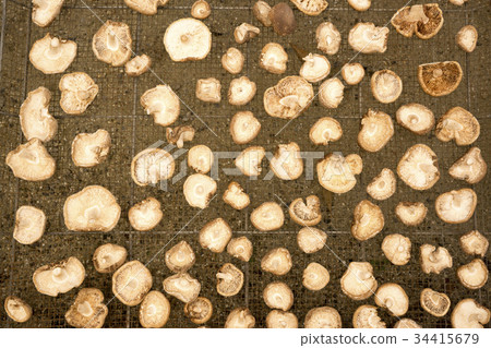 Making dried shiitake Making dried shiitake 34415679