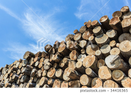 Timber stacked Timber stacked 34416365
