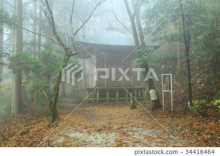 Yoshino Yoshitsune的隱藏的塔 Yoshino Yoshitsune的隱藏的塔 34416464