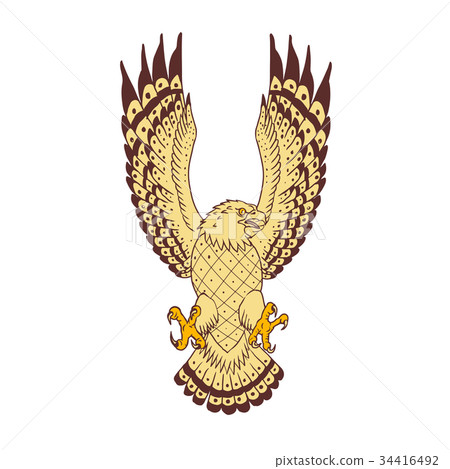 Osprey Swooping Motion Front Drawing 34416492