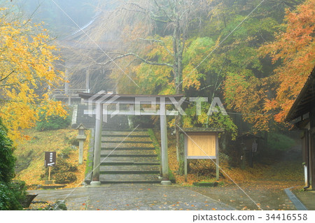 Yoshino Kinrin Shrine Fall leaves Yoshino Kinrin Shrine Fall leaves 34416558