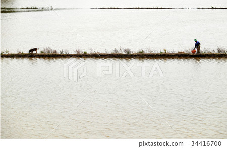 Man catch fish on flooded field 34416700