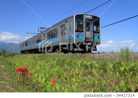 When the large thread Higanbana blooms When the large thread Higanbana blooms 34417314