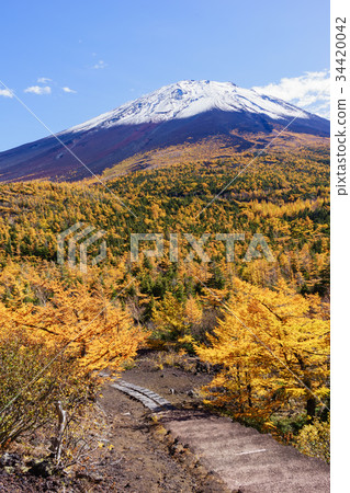 The view from Mt. Fuji and the back garden 34420042