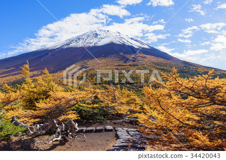 富士山和後花園的景色 34420043